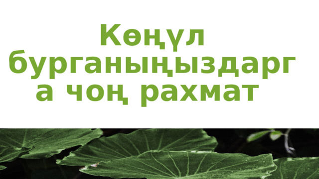 Көңүл бурганыңыздарга чоң рахмат 