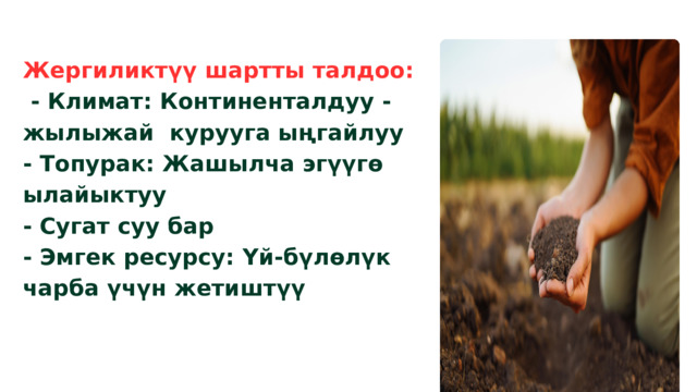 Жергиликтүү шартты талдоо:  - Климат: Континенталдуу - жылыжай курууга ыңгайлуу - Топурак: Жашылча эгүүгө ылайыктуу - Сугат суу бар - Эмгек ресурсу: Үй-бүлөлүк чарба үчүн жетиштүү 