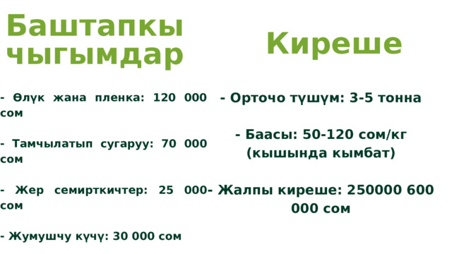 Баштапкы чыгымдар Киреше - Орточо түшүм: 3-5 тонна - Баасы: 50-120 сом/кг (кышында кымбат) - Жалпы киреше: 250000 600 000 сом - Өлүк жана пленка: 120 000 сом - Тамчылатып сугаруу: 70 000 сом - Жер семирткичтер: 25 000 сом - Жумушчу күчү: 30 000 сом Жалпы чыгым: 245 000 сом 