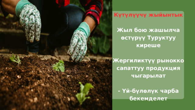 Күтүлүүчү жыйынтык Жыл бою жашылча өстүрүү Туруктуу киреше Жергиликтүү рынокко сапаттуу продукция чыгарылат - Үй-бүлөлүк чарба бекемделет 