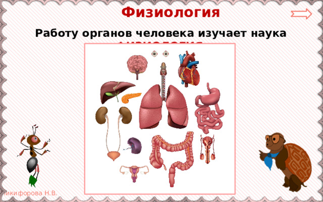  Физиология Работу органов человека изучает наука ФИЗИОЛОГИЯ . 