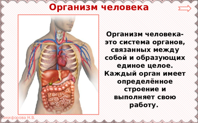Организм человека Организм человека- это система органов, связанных между собой и образующих единое целое. Каждый орган имеет определённое строение и выполняет свою работу. 