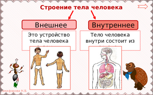  Строение тела человека  Внешнее Внутреннее Это устройство тела человека снаружи. Тело человека внутри состоит из органов. 