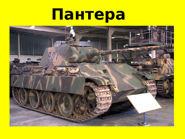 Пантера 
