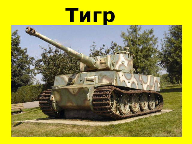 Тигр 