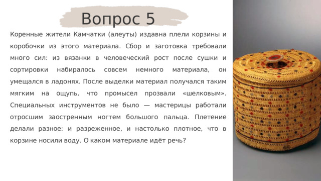 Вопрос 5 Коренные жители Камчатки (алеуты) издавна плели корзины и коробочки из этого материала. Сбор и заготовка требовали много сил: из вязанки в человеческий рост после сушки и сортировки набиралось совсем немного материала, он умещался в ладонях. После выделки материал получался таким мягким на ощупь, что промысел прозвали «шелковым». Специальных инструментов не было — мастерицы работали отросшим заостренным ногтем большого пальца. Плетение делали разное: и разреженное, и настолько плотное, что в корзине носили воду. О каком материале идёт речь? 