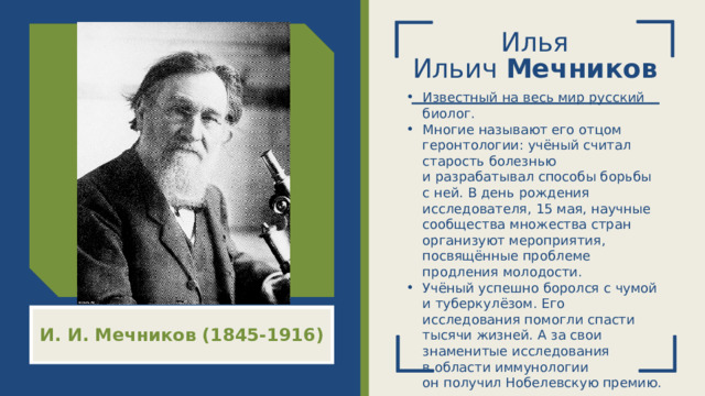 Илья Ильич  Мечников Известный на весь мир русский биолог. Многие называют его отцом геронтологии: учёный считал старость болезнью и разрабатывал способы борьбы с ней. В день рождения исследователя, 15 мая, научные сообщества множества стран организуют мероприятия, посвящённые проблеме продления молодости. Учёный успешно боролся с чумой и туберкулёзом. Его исследования помогли спасти тысячи жизней. А за свои знаменитые исследования в области иммунологии он получил Нобелевскую премию. И. И. Мечников (1845-1916)  