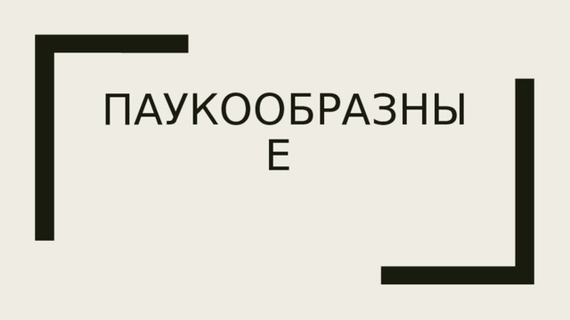 Паукообразные 