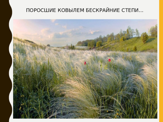 ПОРОСШИЕ КОВЫЛЕМ БЕСКРАЙНИЕ СТЕПИ... 