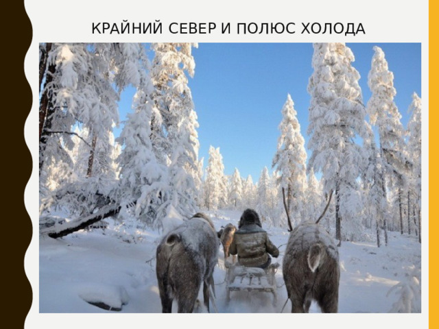 КРАЙНИЙ СЕВЕР И ПОЛЮС ХОЛОДА 