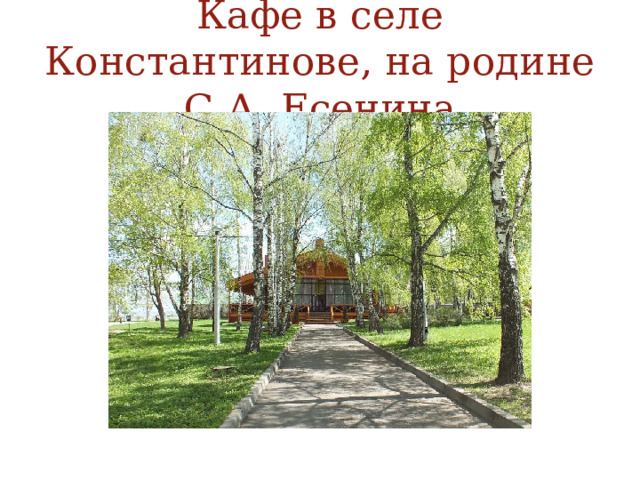 Кафе в селе Константинове, на родине С.А. Есенина 