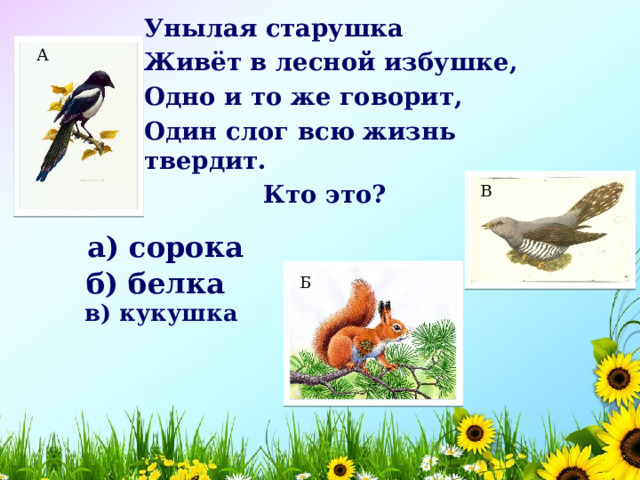 Унылая старушка Живёт в лесной избушке, Одно и то же говорит, Один слог всю жизнь твердит.  Кто это? А В а) сорока    б) белка    Б в) кукушка    