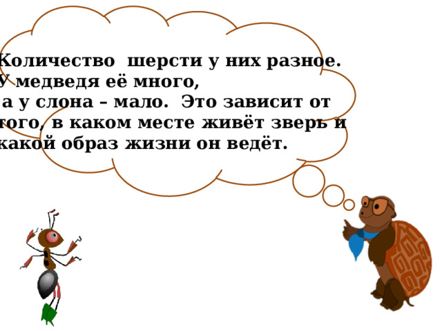 Количество шерсти у них разное. У медведя её много,  а у слона – мало. Это зависит от того, в каком месте живёт зверь и какой образ жизни он ведёт. 