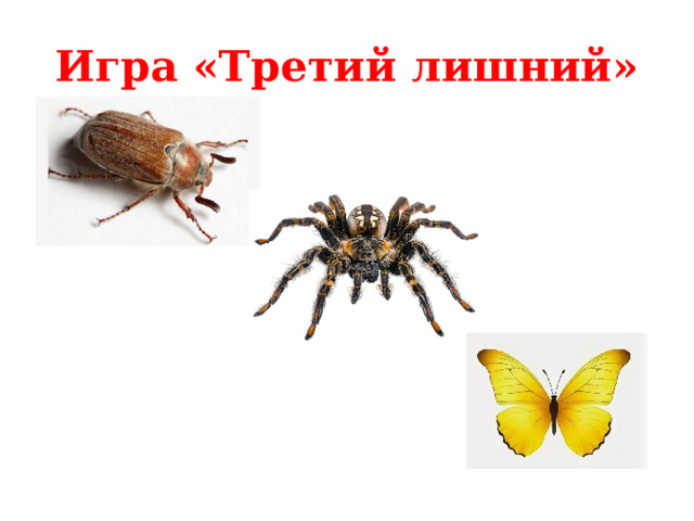 Игра «Третий лишний» 