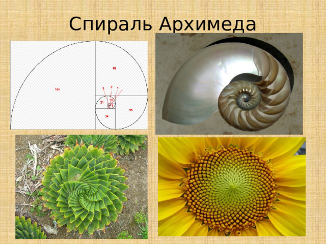 Спираль Архимеда 
