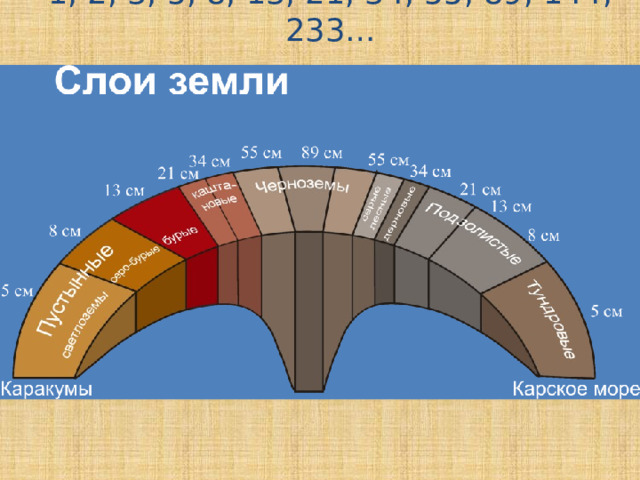 1, 2, 3, 5, 8, 13, 21, 34, 55, 89, 144, 233… 