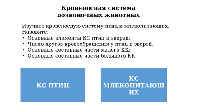 Кровеносная система позвоночных животных Изучите кровеносную систему птиц и млекопитающих. Назовите: Основные элементы КС птиц и зверей; Число кругов кровообращения у птиц и зверей; Основные составные части малого КК; Основные составные части большого КК. КС ПТИЦ КС МЛЕКОПИТАЮЩИХ 