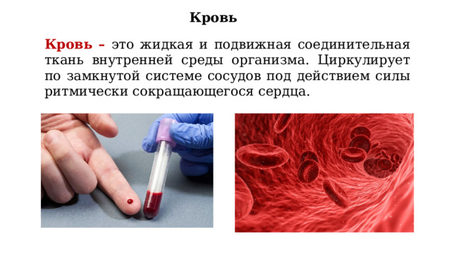 Кровь Кровь – это жидкая и подвижная соединительная ткань внутренней среды организма. Циркулирует по замкнутой системе сосудов под действием силы ритмически сокращающегося сердца. 