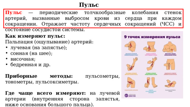 Пульс Пульс — периодические толчкообразные колебания стенок артерий, вызванные выбросом крови из сердца при каждом сокращении. Отражает частоту сердечных сокращений (ЧСС) и состояние сосудистой системы. Как измеряют пульс: Пальпация (ощупывание) артерий: лучевая (на запястье); сонная (на шее); височная; бедренная и др. Приборные методы: пульсометры, тонометры, пульсоксиметры.  Где чаще всего измеряют: на лучевой артерии (внутренняя сторона запястья, ниже основания большого пальца). 