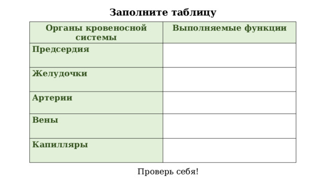 Заполните таблицу Органы кровеносной системы Выполняемые функции Предсердия Желудочки Артерии Вены Капилляры Проверь себя! 