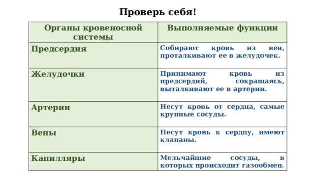 Проверь себя! Органы кровеносной системы Выполняемые функции Предсердия Собирают кровь из вен, проталкивают ее в желудочек. Желудочки  Принимают кровь из предсердий, сокращаясь, выталкивают ее в артерии. Артерии  Несут кровь от сердца, самые крупные сосуды. Вены  Несут кровь к сердцу, имеют клапаны. Капилляры  Мельчайшие сосуды, в которых происходит газообмен. 