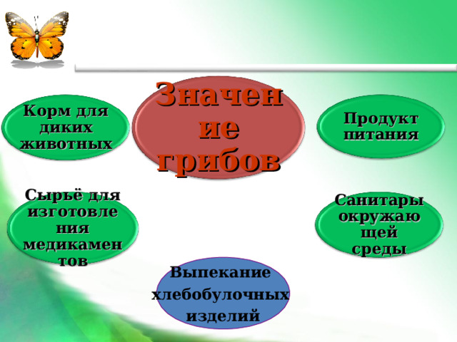 Значение грибов Продукт питания Корм для диких животных Санитары окружающей среды Сырьё для изготовления медикаментов Выпекание хлебобулочных изделий 