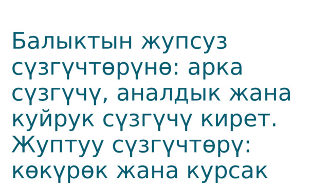Балыктын жупсуз сүзгүчтөрүнө: арка сүзгүчү, аналдык жана куйрук сүзгүчү кирет. Жуптуу сүзгүчтөрү: көкүрөк жана курсак сүзгүчтөрү 