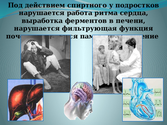Под действием спиртного у подростков нарушается работа ритма сердца, выработка ферментов в печени, нарушается фильтрующая функция почек, ухудшается память и мышление 