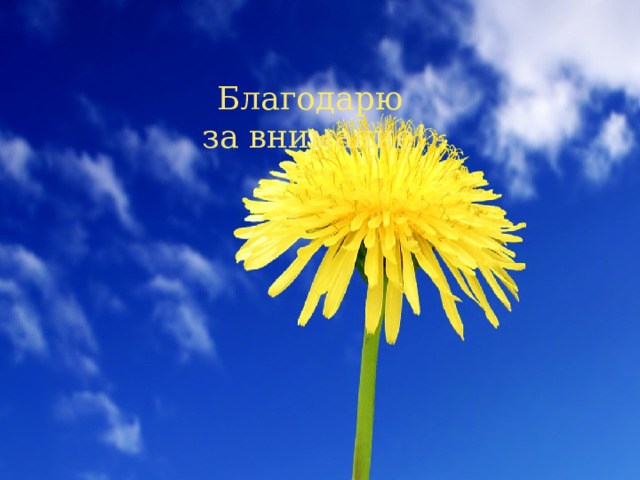 Благодарю  за внимание! 