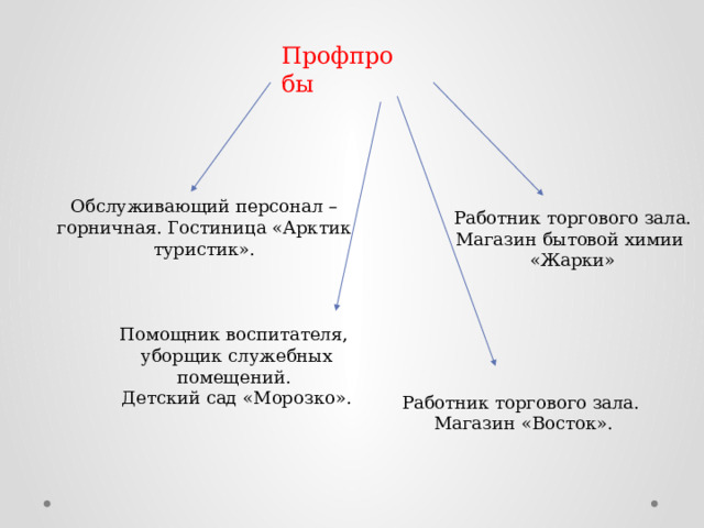 Профпробы Обслуживающий персонал – горничная. Гостиница «Арктик туристик». Работник торгового зала. Магазин бытовой химии «Жарки» Помощник воспитателя, уборщик служебных помещений. Детский сад «Морозко». Работник торгового зала. Магазин «Восток». 
