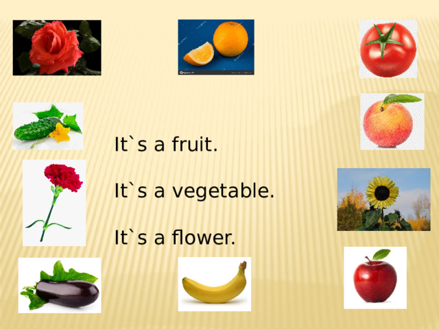 It`s a fruit. It`s a vegetable. It`s a flower. 