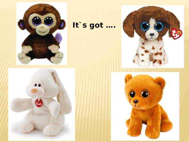 It`s got …. 