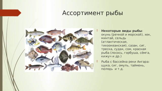 Ассортимент рыбы Некоторые виды рыбы : окунь (речной и морской), хек, минтай, сельдь (атлантическая, тихоокеанская), сазан, сиг, треска, судак, сом, красная рыба (лосось, горбуша, сёмга, кижуч и др.) Рыба с бассейна реки Ангара: щука, сиг, омуль, таймень, пелядь и т.д. 