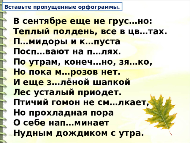 Вставьте пропущенные орфограммы. В сентябре еще не грус…но:  Теплый полдень, все в цв…тах.  П…мидоры и к…пуста  Посп…вают на п…лях.  По утрам, конеч…но, зя…ко,  Но пока м…розов нет.  И еще з…лёной шапкой  Лес усталый приодет.  Птичий гомон не см…лкает,  Но прохладная пора  О себе нап…минает  Нудным дождиком с утра. 