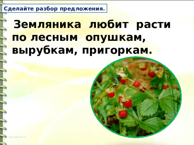 Сделайте разбор предложения.   Земляника любит расти по лесным опушкам, вырубкам, пригоркам.  