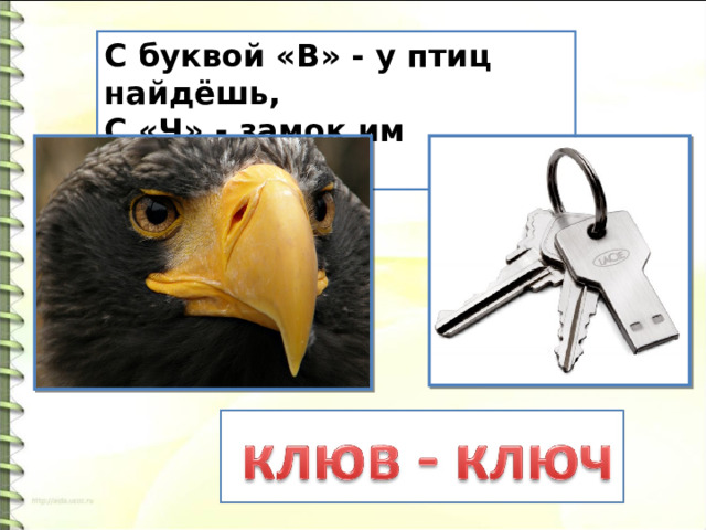 С буквой «В» - у птиц найдёшь,  С «Ч» - замок им отопрёшь. 