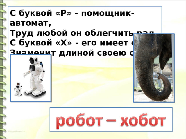 С буквой «Р» - помощник-автомат,  Труд любой он облегчить рад.  С буквой «X» - его имеет слон,  Знаменит длиной своею он. 