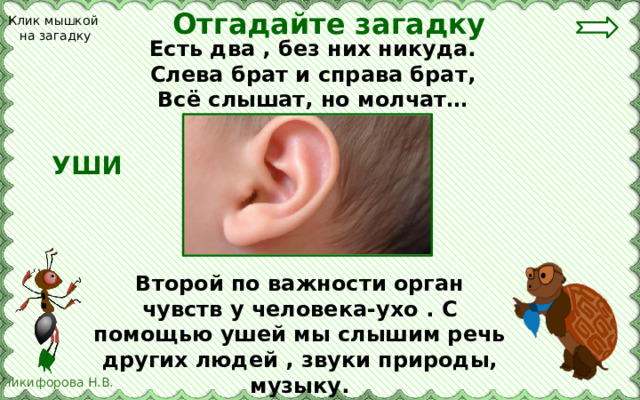 Отгадайте загадку Клик мышкой на загадку Есть два , без них никуда. Слева брат и справа брат, Всё слышат, но молчат… УШИ Второй по важности орган чувств у человека-ухо . С помощью ушей мы слышим речь других людей , звуки природы, музыку. 