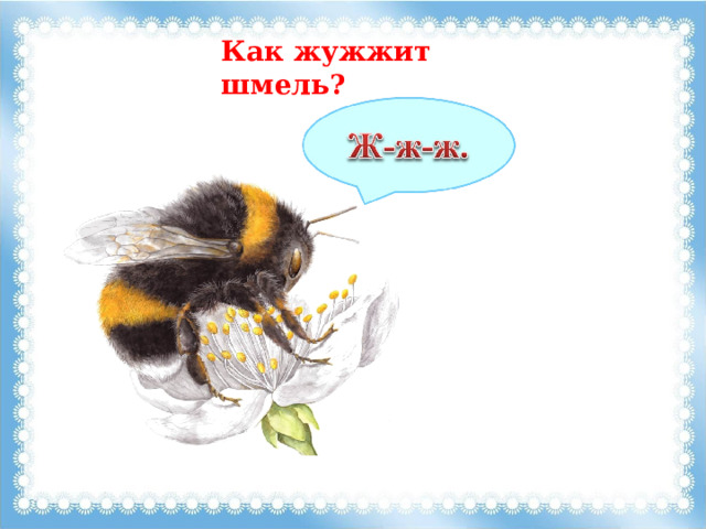 Как жужжит шмель? 
