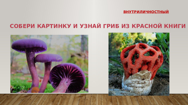 внутриличностный Собери картинку и узнай гриб из Красной книги 