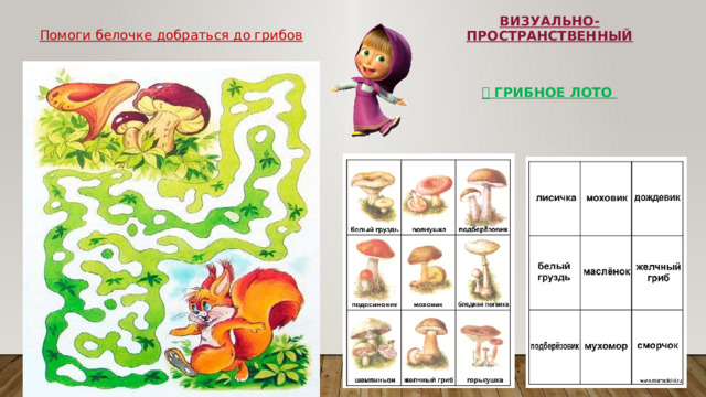 Визуально-пространственный Помоги белочке добраться до грибов 🍄 ГРИБНОЕ ЛОТО 🍄 