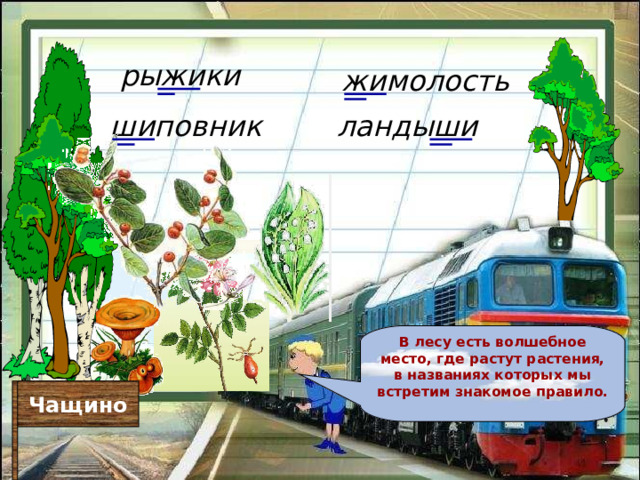 рыжики жимолость ландыши шиповник В лесу есть волшебное место, где растут растения, в названиях которых мы встретим знакомое правило.  Чащино 
