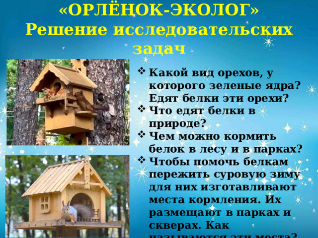 «ОРЛЁНОК-ЭКОЛОГ»  Решение исследовательских задач            Какой вид орехов, у которого зеленые ядра? Едят белки эти орехи? Что едят белки в природе? Чем можно кормить белок в лесу и в парках? Чтобы помочь белкам пережить суровую зиму для них изготавливают места кормления. Их размещают в парках и скверах. Как называются эти места?  