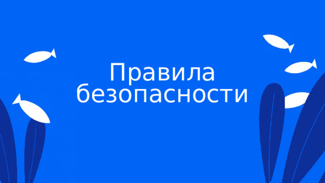 Правила безопасности 