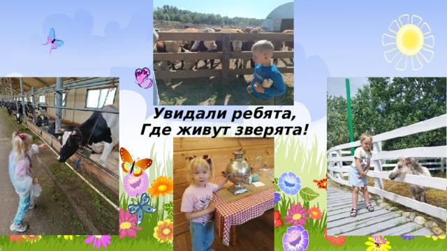 Увидали ребята,  Где живут зверята! 