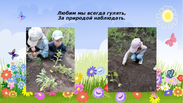 Любим мы всегда гулять,  За природой наблюдать. 
