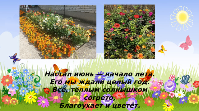 Настал июнь — начало лета. Его мы ждали целый год. Всё, тёплым солнышком согрето, Благоухает и цветёт. 