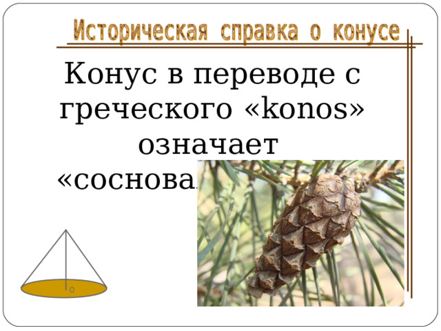 Конус в переводе с греческого «konos» означает «сосновая шишка». 