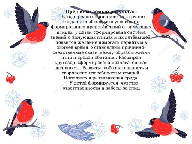 Предполагаемый результат:     В ходе реализации проекта в группе созданы необходимые условия по формированию представлений о  зимующих птицах, у детей сформирована система знаний о зимующих птицах и их детёнышей, появится желание помогать пернатым в зимнее время. У становлены причинно-следственные связи между образом жизни птиц и средой обитания.  Расширен кругозор, сформирована познавательная активность. Развиты любознательность и творческие способности малышей. Пополнится развивающая среда.     У детей формируется  чувство ответственности и заботы за птиц 