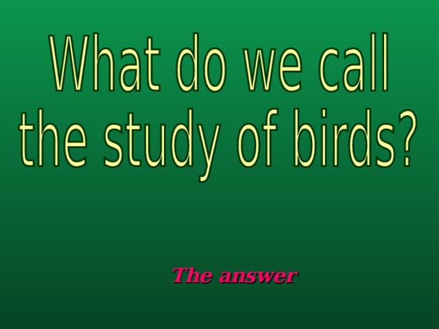 The answer 